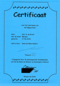 Meissie puppycursus