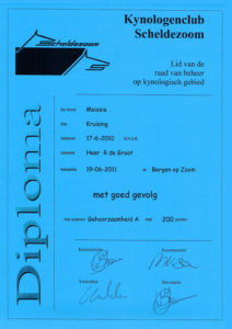 Meissie Gehoorzaamheid A