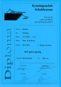 Meissie Gevorderden