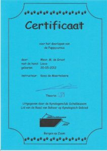 Puppycursus Merveille du Monde Lieve